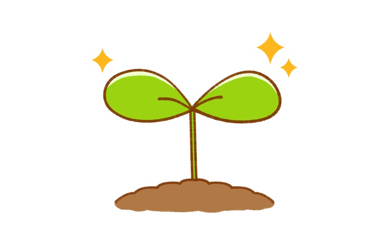 季節の創作活動