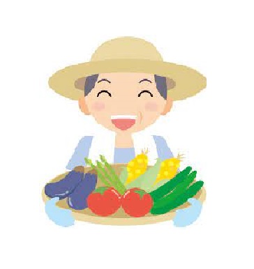 野菜収穫の紹介